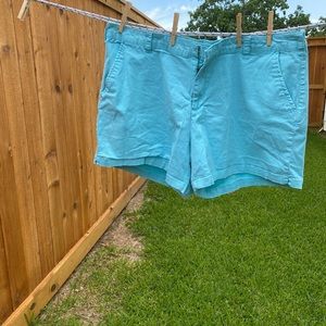 Lane Bryant shorts. Great condition